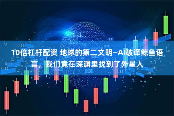 10倍杠杆配资 地球的第二文明—AI破译鲸鱼语言，我们竟在深渊里找到了外星人
